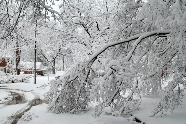 Winter Home Preparation, Part 2: Long-Term Power Outages
